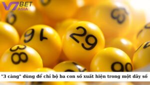 Thuật ngữ "3 càng" được dùng để chỉ bộ ba con số có thể xuất hiện trong một dãy số 