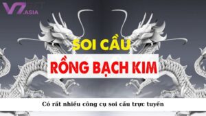 Có rất nhiều công cụ soi cầu trực tuyến giúp người chơi phân tích kết quả xổ số nhanh chóng