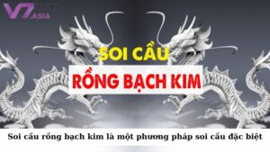 Soi cầu rồng bạch kim là một phương pháp soi cầu đặc biệt được sử dụng trong lô đề